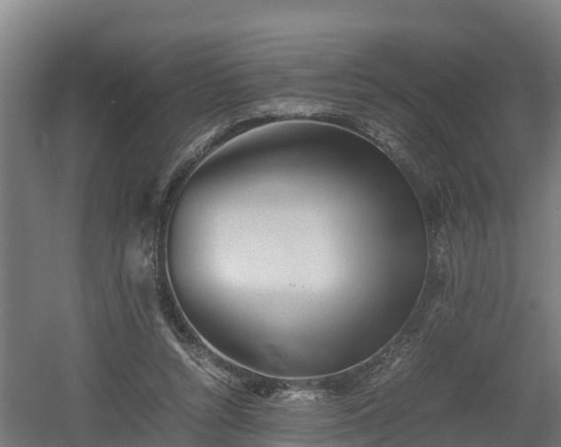 X0000060570352200511071025