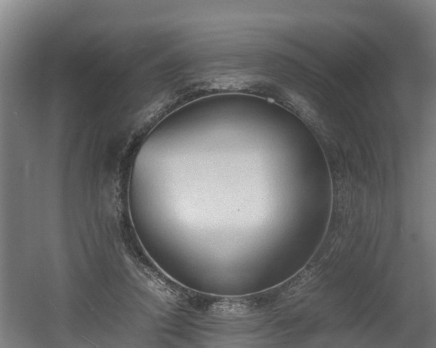 X0000060570354200511071025