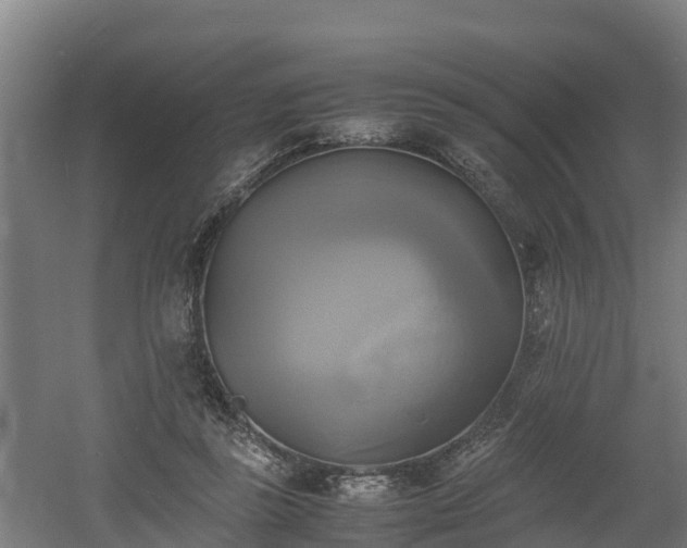 X0000060570355200511071025