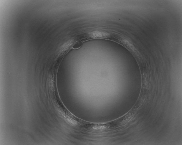 X0000060570357200511071025