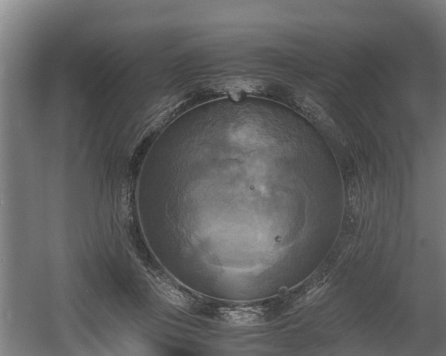 X0000060570359200511071025