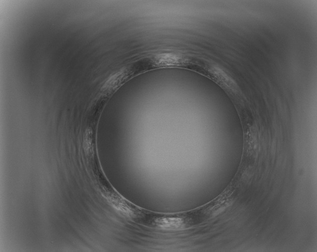 X0000060570361200511071025