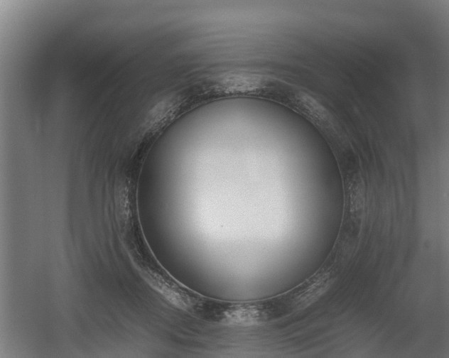 X0000060570362200511071025