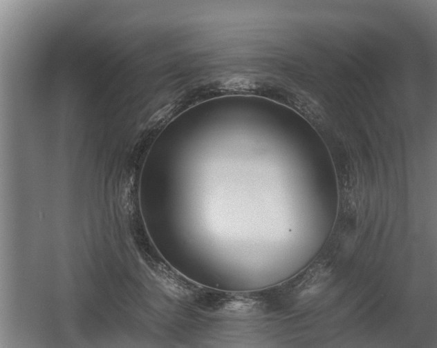 X0000060570364200511071025