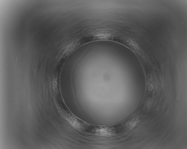 X0000060570365200511071025