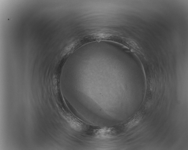 X0000060570366200511071025