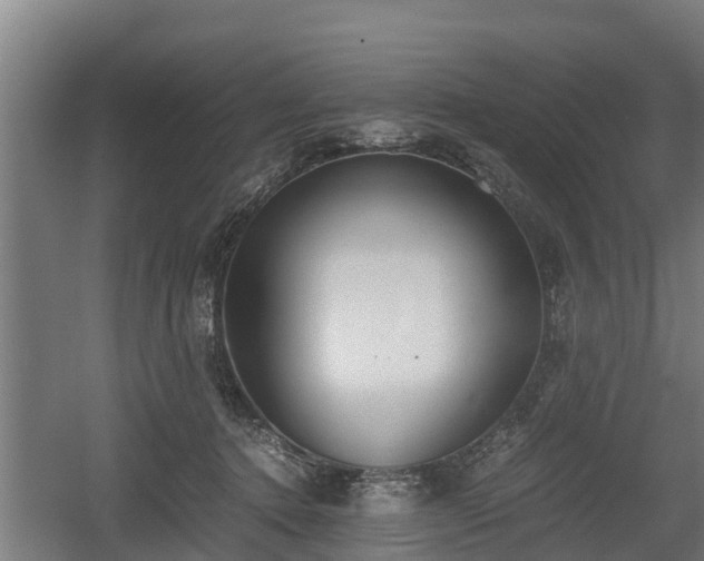 X0000060570368200511071025