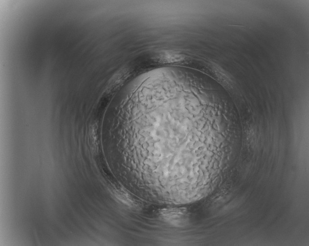 X0000060570373200511071025