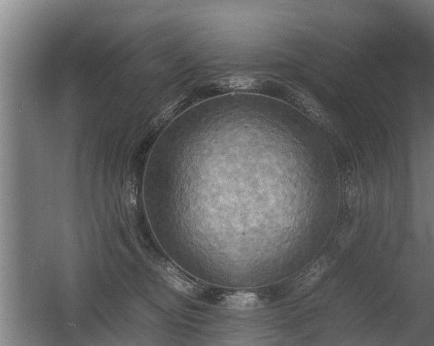 X0000060570374200511071025