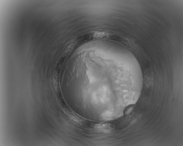 X0000060570375200511071025