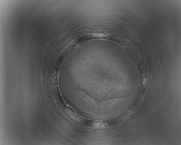 X0000060570376200511071025