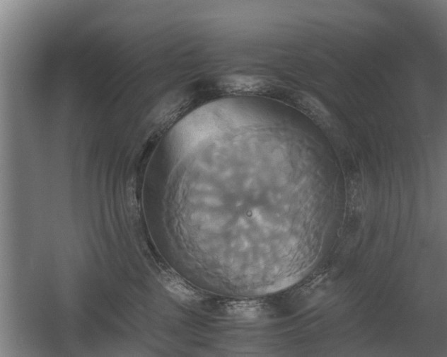 X0000060570377200511071025