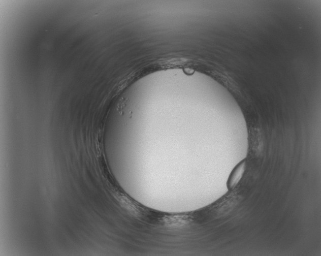 X0000060570378200511071025