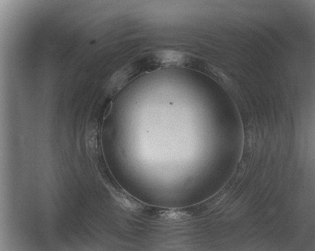 X0000060570379200511071025