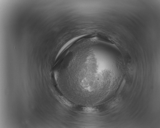 X0000060570380200511071025