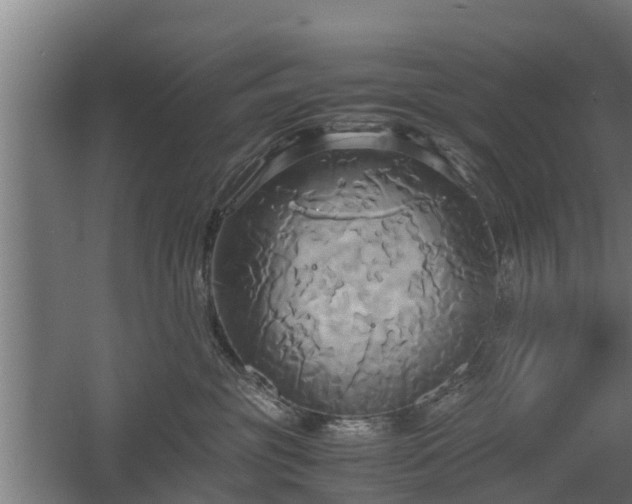 X0000060570381200511071025