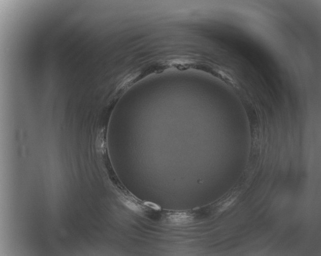 X0000060570383200511071025