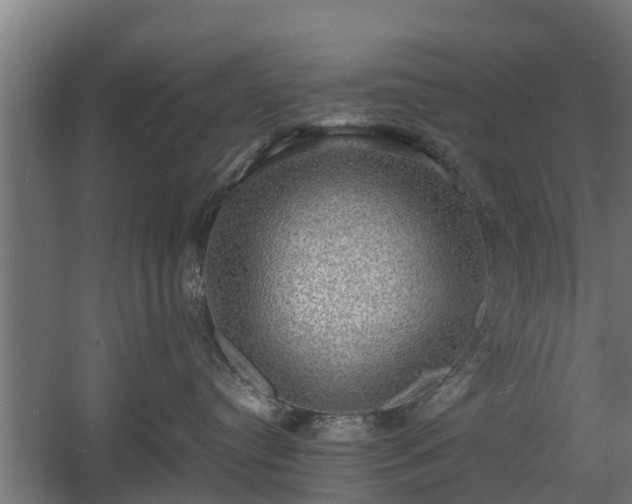 X0000060570384200511071025