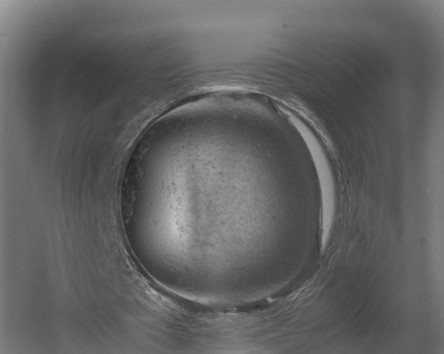 X0000060570385200511071025