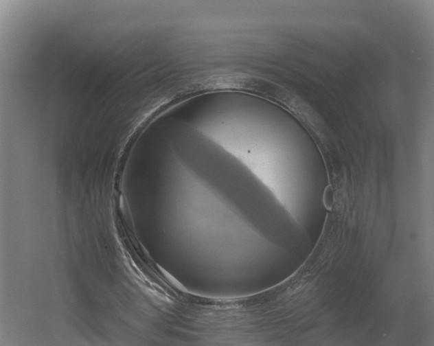 X0000060570386200511071025