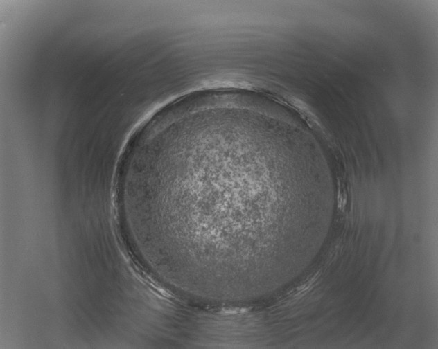 X0000060570388200511071025