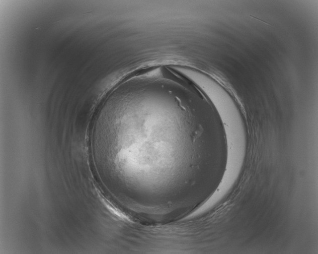 X0000060570389200511071025