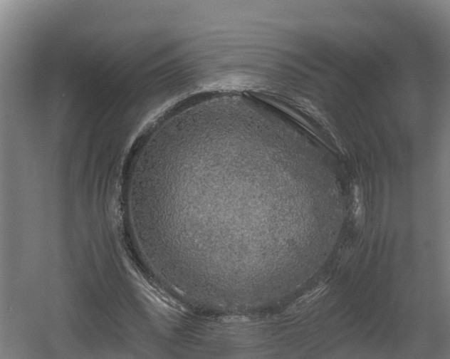 X0000060570392200511071025