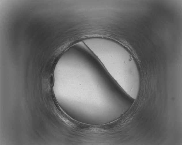 X0000060570393200511071025