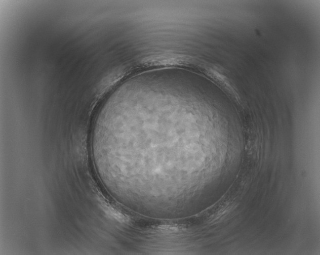 X0000060570394200511071025