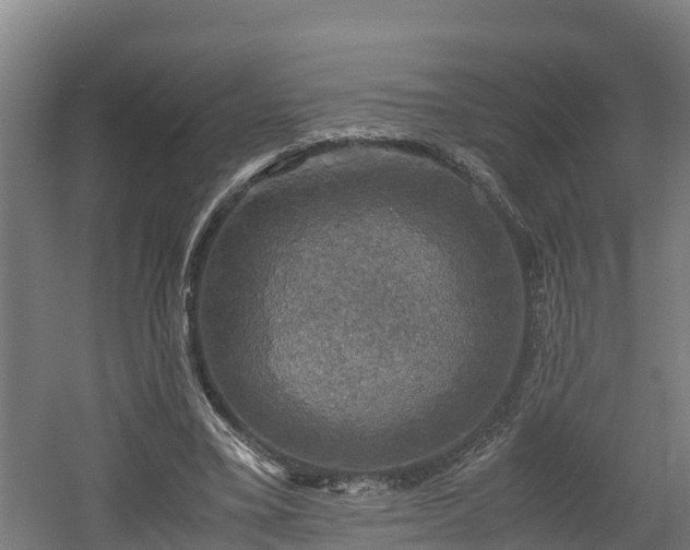 X0000060570395200511071025