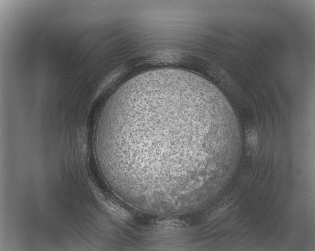 X0000060570396200511071024