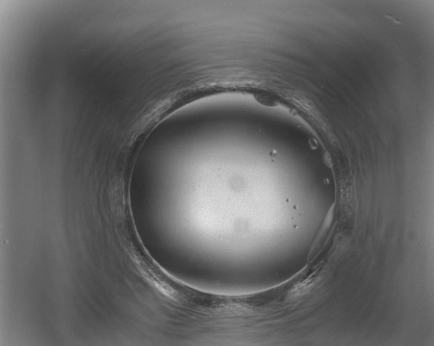 X0000060570397200511071024