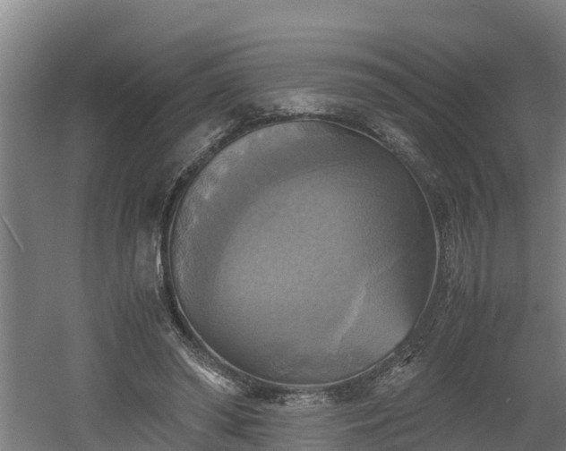 X0000060570398200511071024