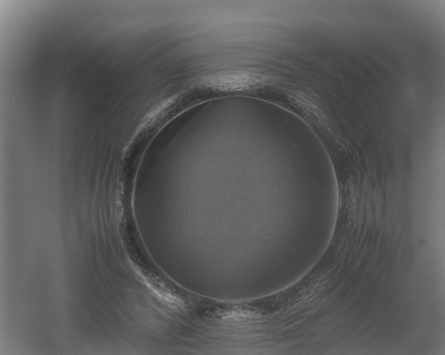 X0000060570400200511071024