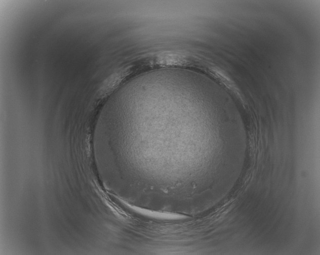 X0000060570401200511071024