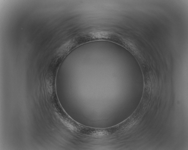 X0000060570402200511071024