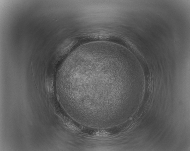 X0000060570403200511071024