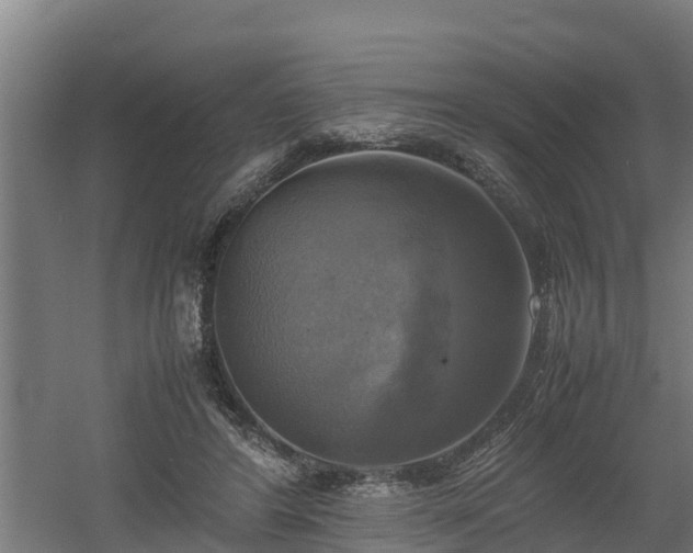 X0000060570404200511071024