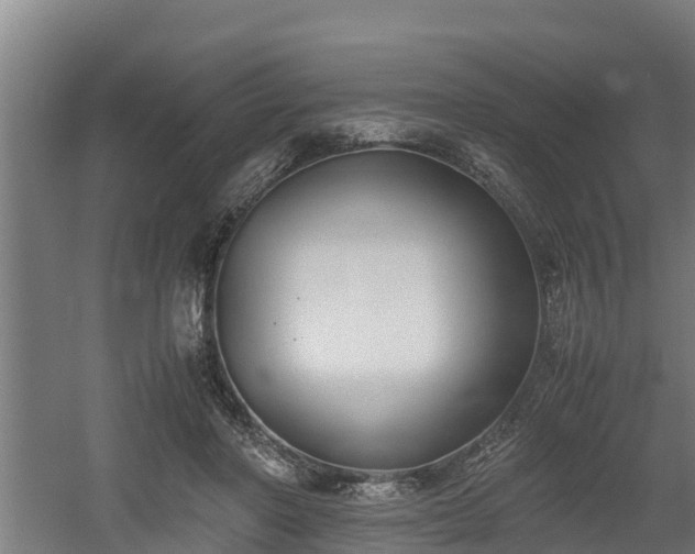 X0000060570406200511071024