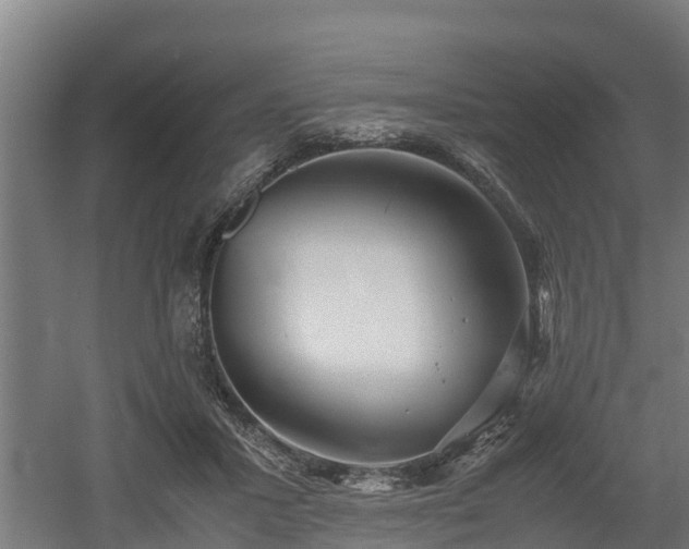 X0000060570407200511071024