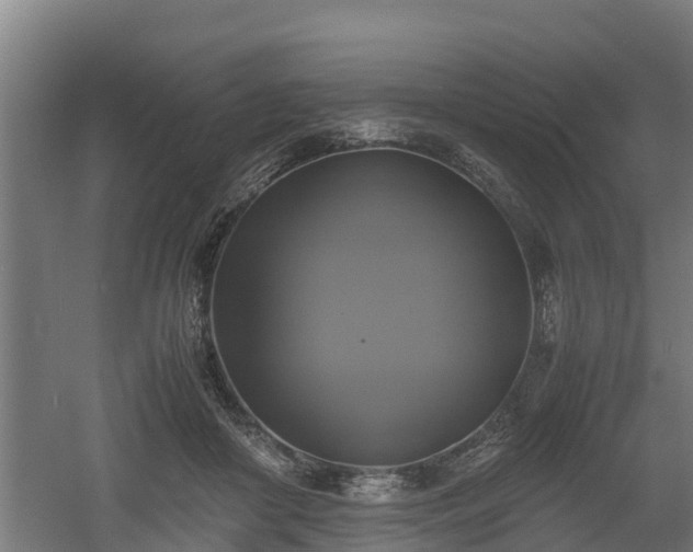 X0000060570410200511071024