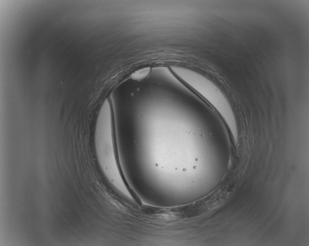 X0000060570411200511071024