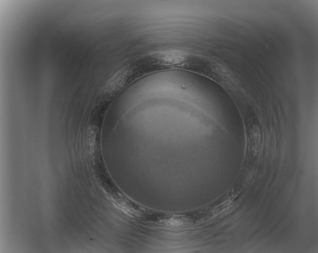 X0000060570412200511071024