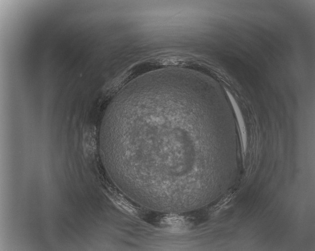 X0000060570413200511071024