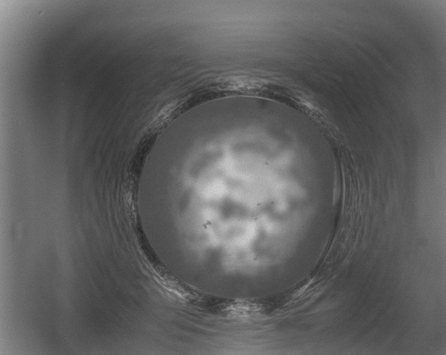 X0000060570415200511071024