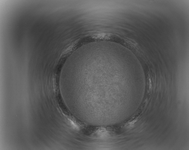 X0000060570416200511071024