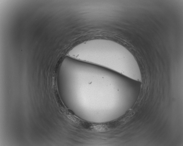 X0000060570417200511071024