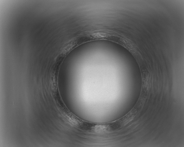 X0000060570418200511071024