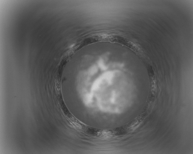 X0000060570419200511071024