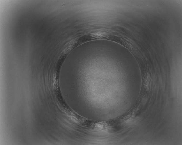 X0000060570420200511071024